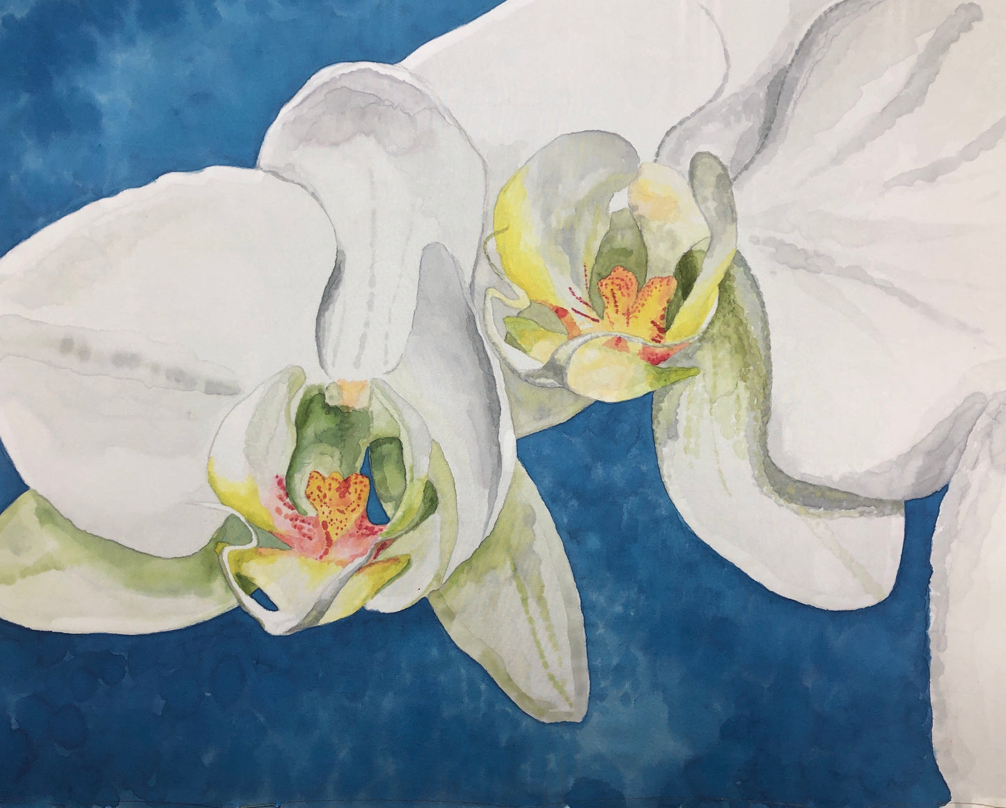 “Megan’s Orchids” - Painting on Silk - SOLD